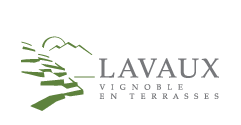 Lavaux