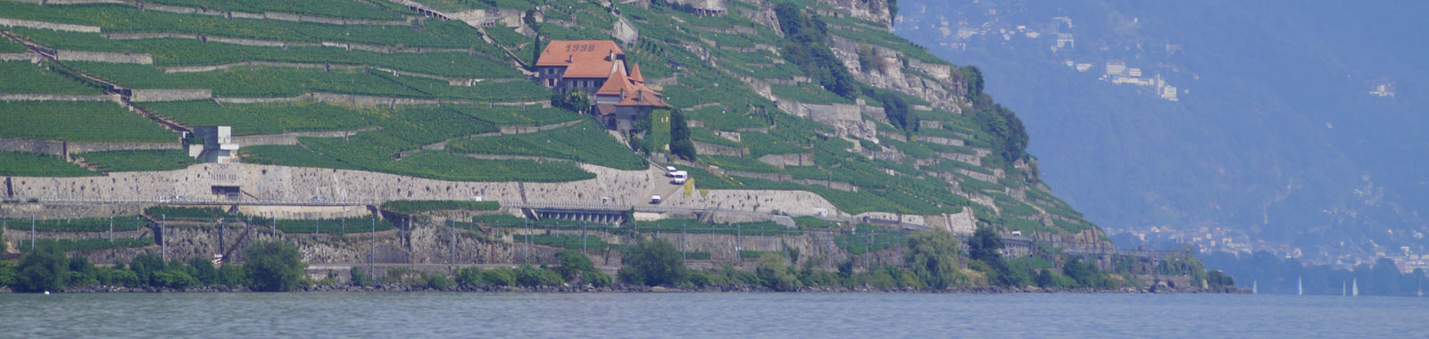 Lavaux