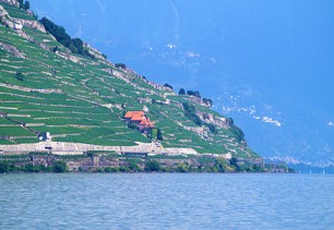 Lavaux