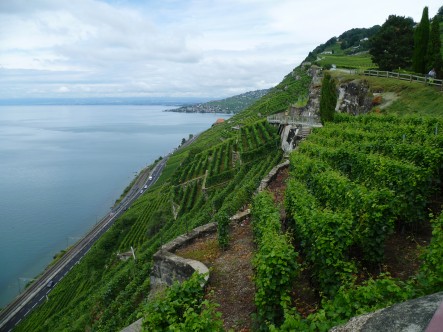 8 - Lavaux 2